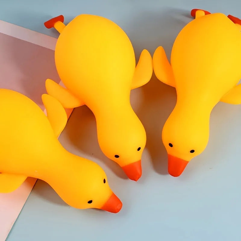Squishy Canard