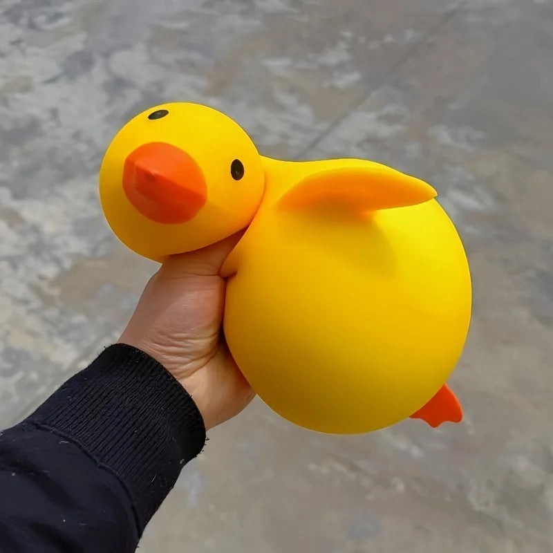 Squishy Canard