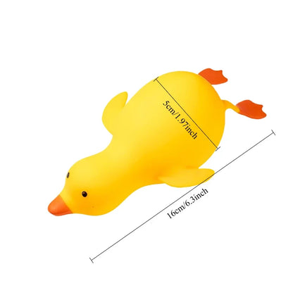 Squishy Canard