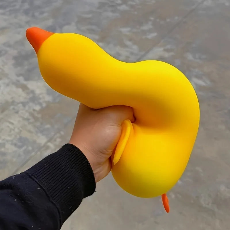 Squishy Canard