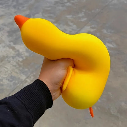 Squishy Canard